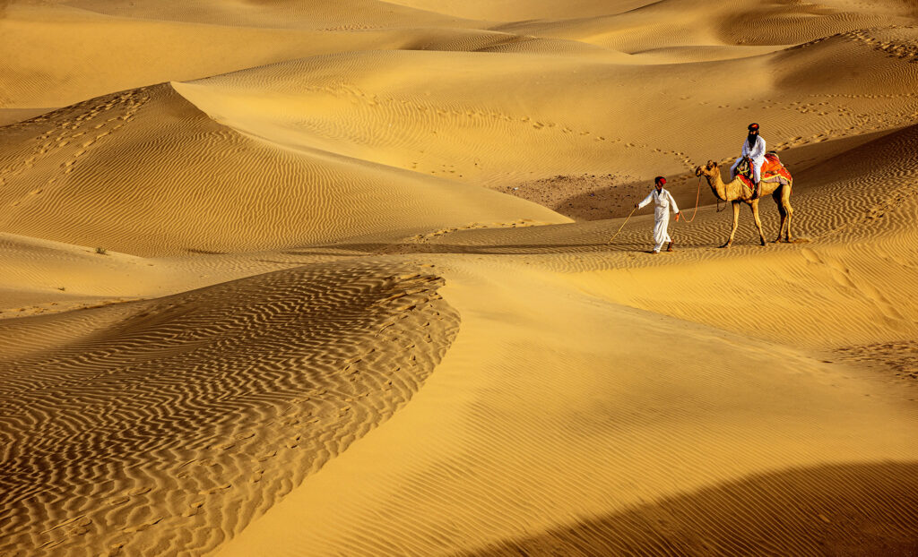 A camel caravan traversing immense, rolling sand dunes at sunset